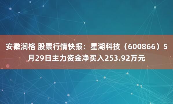 安徽润格 股票行情快报：星湖科技（600866）5月29日主力资金净买入253.92万元