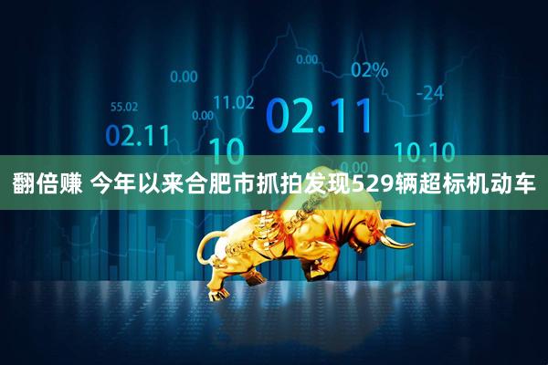 翻倍赚 今年以来合肥市抓拍发现529辆超标机动车