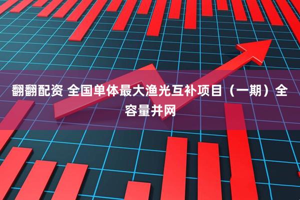 翻翻配资 全国单体最大渔光互补项目（一期）全容量并网