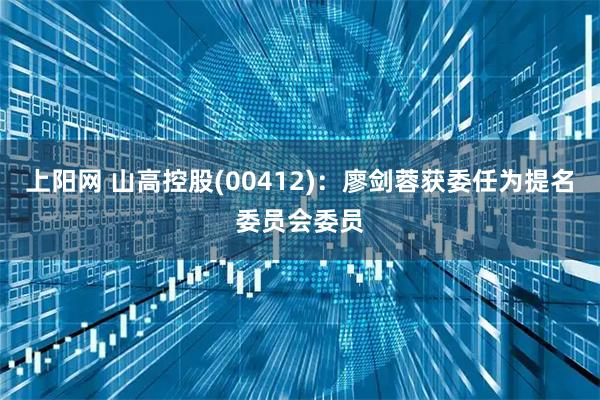 上阳网 山高控股(00412)：廖剑蓉获委任为提名委员会委员