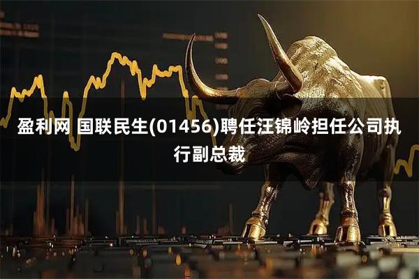 盈利网 国联民生(01456)聘任汪锦岭担任公司执行副总裁
