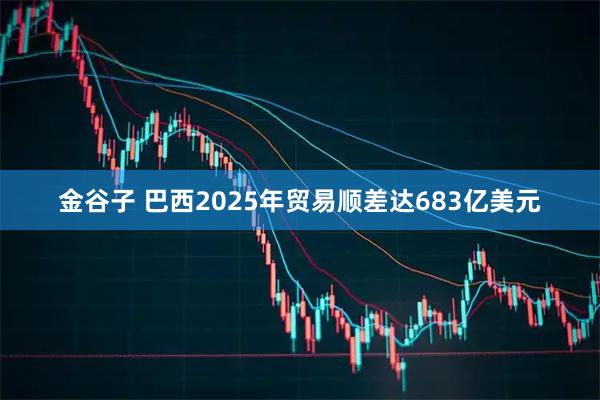 金谷子 巴西2025年贸易顺差达683亿美元