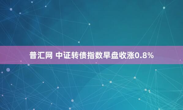 普汇网 中证转债指数早盘收涨0.8%