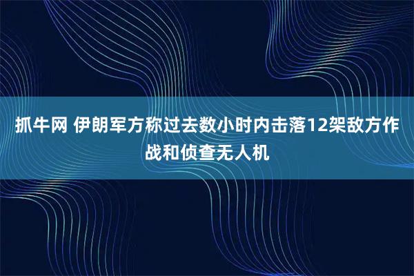 抓牛网 伊朗军方称过去数小时内击落12架敌方作战和侦查无人机