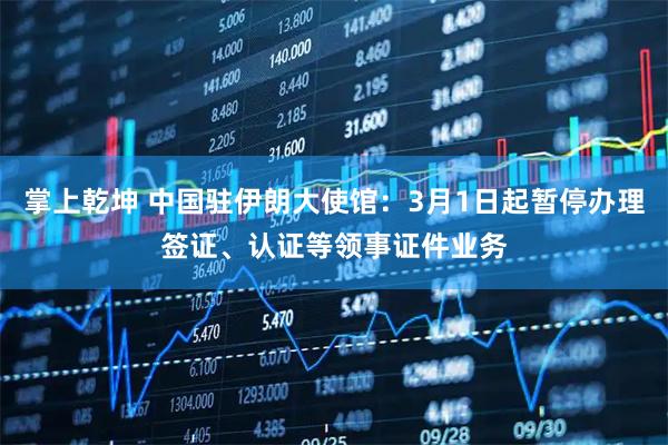 掌上乾坤 中国驻伊朗大使馆：3月1日起暂停办理签证、认证等领事证件业务